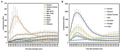 Chitin Triggers Tissue-Specific Immunity in Wheat Associated With Fusarium Head Blight